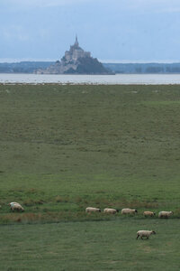 2023 09 18 De Champeaux à Saint-Quentin-sur-le-Homme, IMG_5866 Vue depuis la pointe du Mont Manet